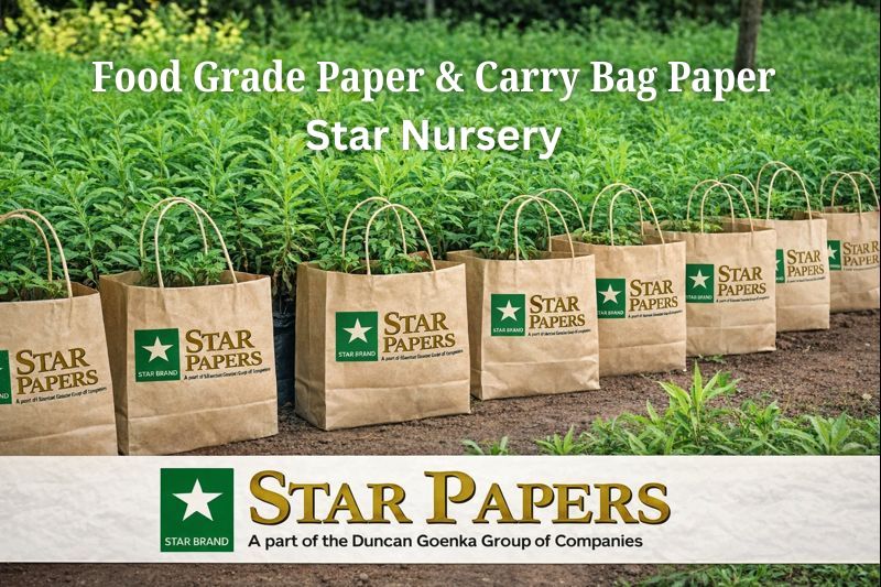 Star Nursery