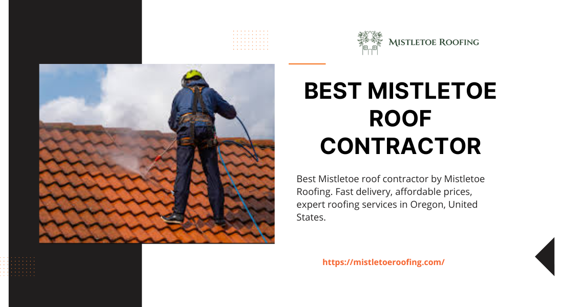 Best Mistletoe roof contractor