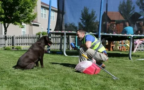 Dog Poop Cleanup Service