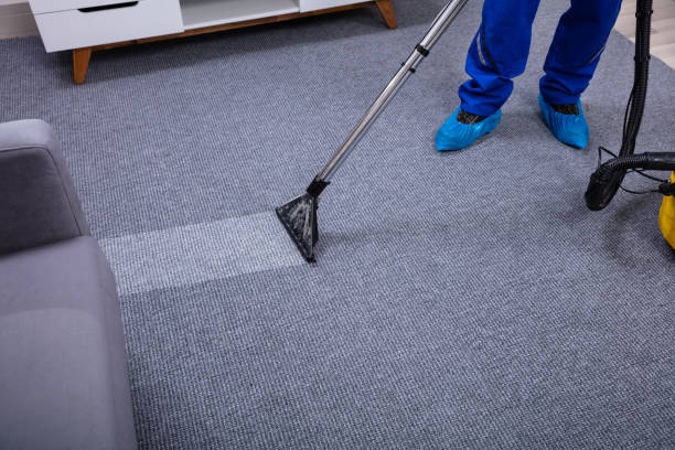 Carpet Cleaning Near Me